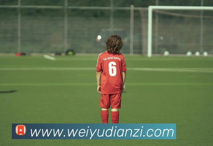 米兰app官网登录入口APP 封面图